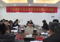 【聚焦两会】宁远：曹辉正参加桐山、东溪代表团分组讨论